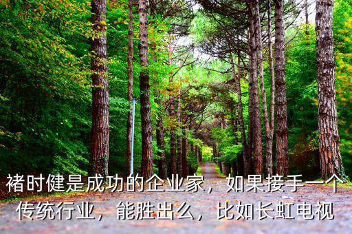褚時健是成功的企業家，如果接手一個傳統行業，能勝出么，比如長虹電視