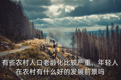 有些農村人口老齡化比較嚴重，年輕人在農村有什么好的發展前景嗎