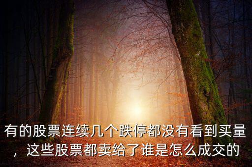 有的股票連續(xù)幾個(gè)跌停都沒有看到買量，這些股票都賣給了誰(shuí)是怎么成交的