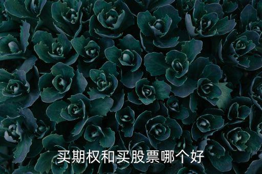 買期權和買股票哪個好
