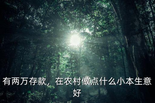 有兩萬存款，在農村做點什么小本生意好