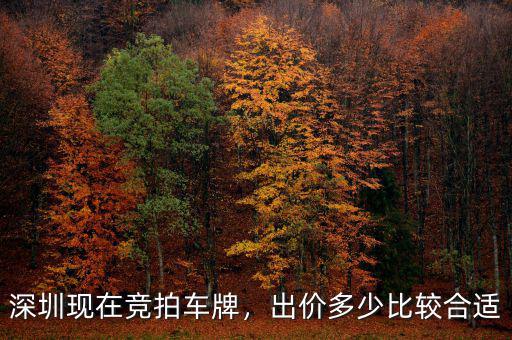 深圳車牌競拍多少錢,深圳現在競拍車牌