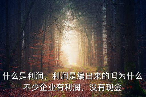 什么是利潤，利潤是編出來的嗎為什么不少企業(yè)有利潤，沒有現(xiàn)金