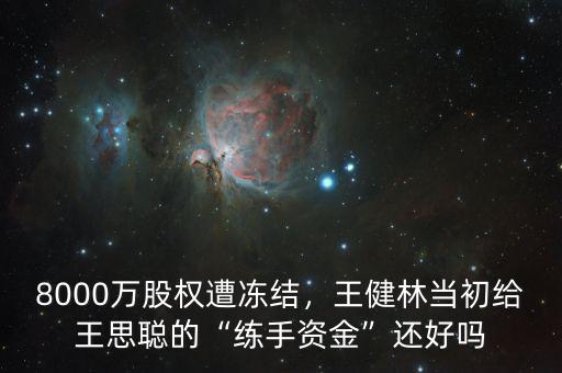 8000萬股權遭凍結，王健林當初給王思聰的“練手資金”還好嗎