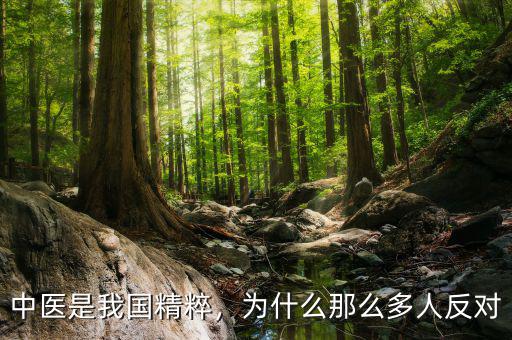 中醫(yī)是我國精粹，為什么那么多人反對(duì)