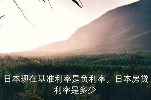 日本市場利率是為什么,日本現在基準利率是負利率