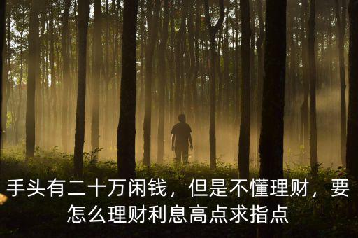 手頭有二十萬閑錢，但是不懂理財，要怎么理財利息高點求指點