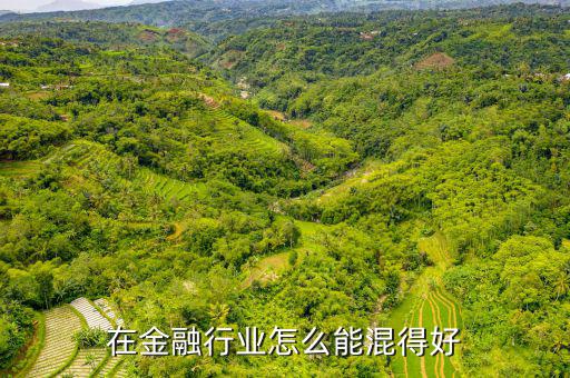 金融同行交流行怎么操作好,在金融行業怎么能混得好