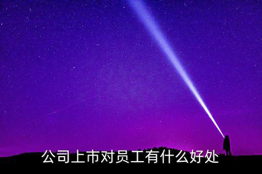 股權上市對企業有什么好處,一個企業單位上市以后