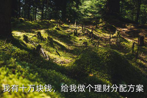 我有十萬塊錢，給我做個理財分配方案