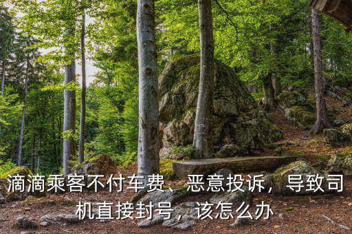 滴滴乘客不付車費、惡意投訴，導(dǎo)致司機直接封號，該怎么辦