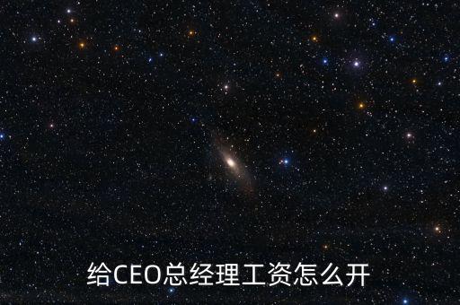 Ceo怎么開工資,創業公司的CEO怎么拿薪水