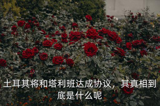土耳其將和塔利班達成協議，其真相到底是什么呢