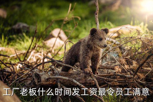 銀漫礦業什么時候發工資,什么時候離職比較好