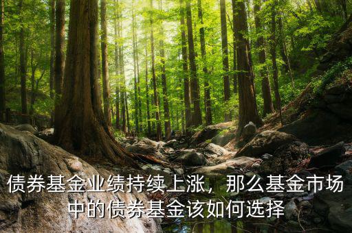 債券基金業(yè)績(jī)持續(xù)上漲，那么基金市場(chǎng)中的債券基金該如何選擇
