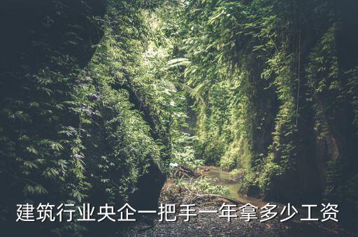 建筑行業央企一把手一年拿多少工資