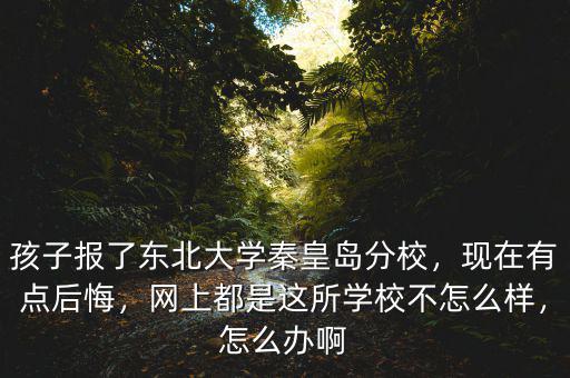 孩子報了東北大學秦皇島分校，現在有點后悔，網上都是這所學校不怎么樣，怎么辦啊