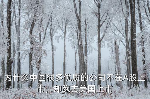 不盈利為什么能在美國上市,卻在美國上市。為什么