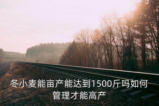 冬小麥能畝產能達到1500斤嗎如何管理才能高產