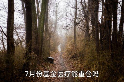 7月份基金醫療能重倉嗎