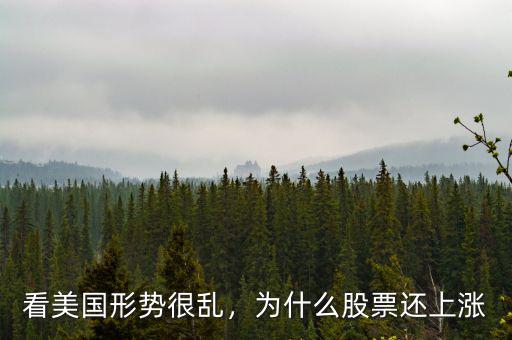 看美國(guó)形勢(shì)很亂，為什么股票還上漲