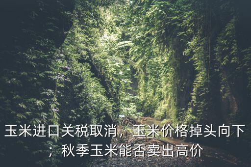 玉米進口關(guān)稅取消，玉米價格掉頭向下；秋季玉米能否賣出高價