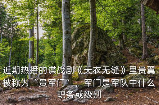 近期熱播的諜戰劇《天衣無縫》里貴翼被稱為“貴軍門”，軍門是軍隊中什么職務或級別