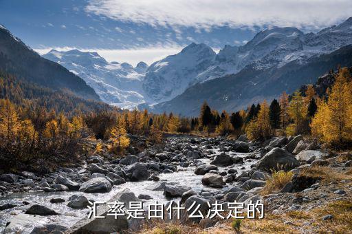 外匯走勢圖由什么因素決定,匯率現在是由什么決定的