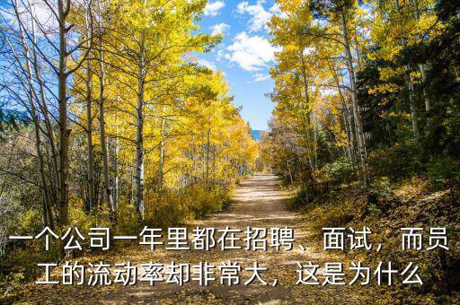 一個公司一年里都在招聘、面試，而員工的流動率卻非常大，這是為什么