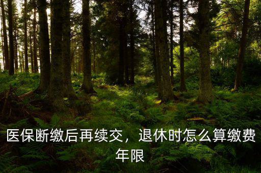醫保斷繳后再續交，退休時怎么算繳費年限