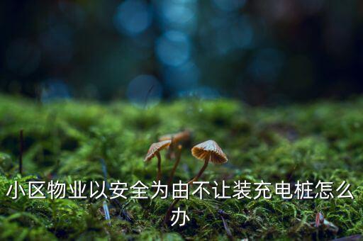 小區物業以安全為由不讓裝充電樁怎么辦