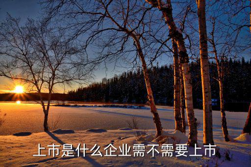 為什么是上市,上市跟沒上市什么區別