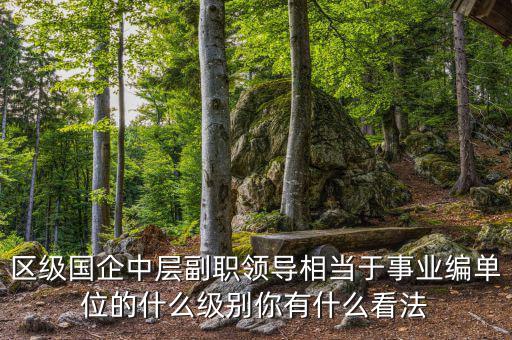 區級國企中層副職領導相當于事業編單位的什么級別你有什么看法