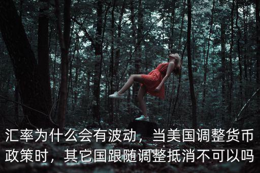 匯率為什么會有波動，當美國調整貨幣政策時，其它國跟隨調整抵消不可以嗎