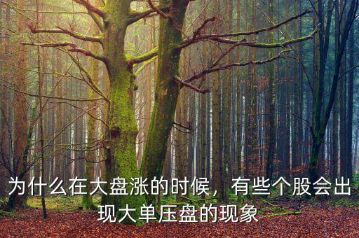 為什么在大盤漲的時候，有些個股會出現大單壓盤的現象