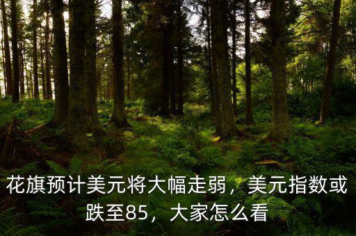 花旗預(yù)計(jì)美元將大幅走弱，美元指數(shù)或跌至85，大家怎么看