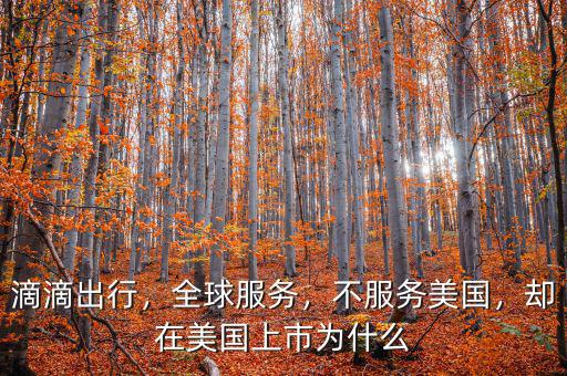 滴滴出行，全球服務，不服務美國，卻在美國上市為什么
