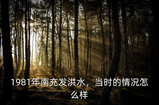 1981年南充發洪水，當時的情況怎么樣