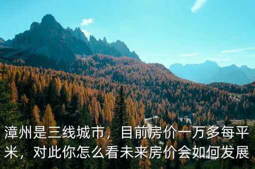 漳州是三線城市，目前房價一萬多每平米，對此你怎么看未來房價會如何發展