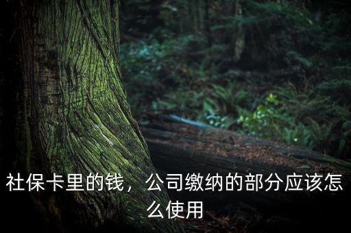 公司交的社保怎么用,社?？ɡ锏腻X