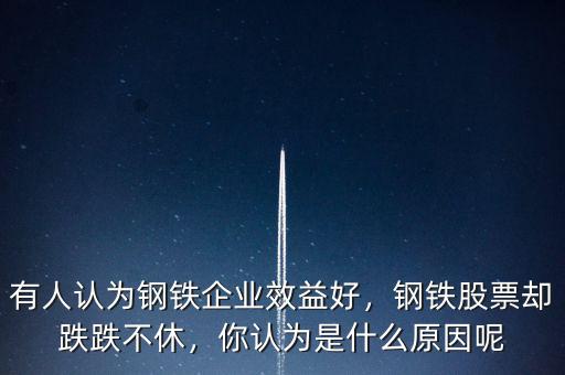 有人認(rèn)為鋼鐵企業(yè)效益好，鋼鐵股票卻跌跌不休，你認(rèn)為是什么原因呢