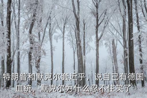 特朗普和默克爾套近乎，說自己有德國血統，默克爾為什么忍不住笑了