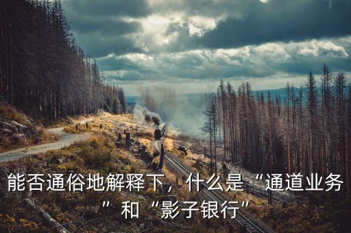 麥卡利對影子銀行的定義是什么,什么是通道業務和影子銀行