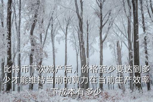 比特幣下次減產后，價格至少要達到多少才能維持當前的算力在當前生產效率下成本有多少