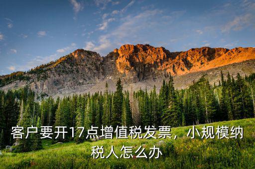 小本生意客戶要發票怎么辦,客戶要開17點增值稅發票