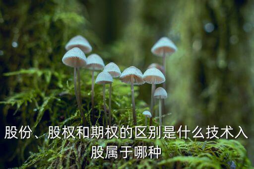 股份期權是什么意思,股權和期權有什么區別