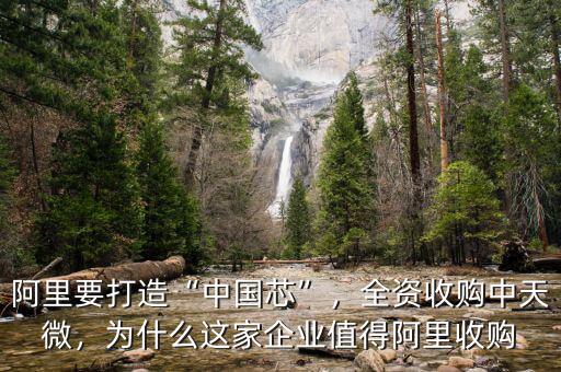 阿里要打造“中國芯”，全資收購中天微，為什么這家企業值得阿里收購