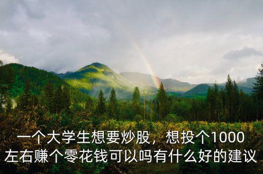 一個大學生想要炒股，想投個1000左右賺個零花錢可以嗎有什么好的建議
