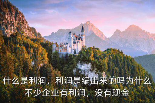 實際利潤是什么,利率和利潤是什么區別