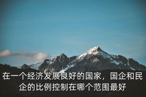 在一個經濟發展良好的國家，國企和民企的比例控制在哪個范圍最好